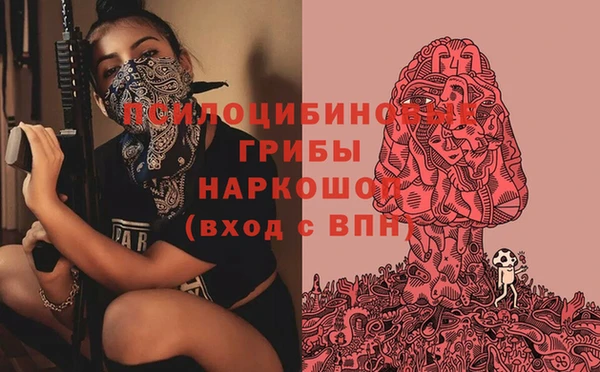 Альфа ПВП Мегион