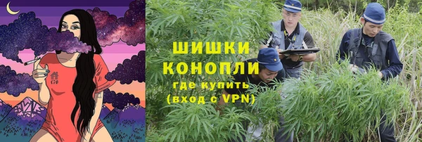 твердый Медногорск