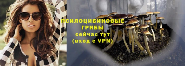 меф Медвежьегорск