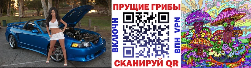 Галлюциногенные грибы Psilocybine cubensis  Разумное 